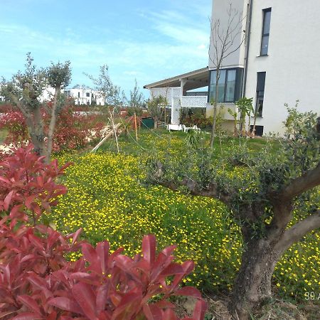 Hamallaj Welcome Beach Apartment מראה חיצוני תמונה